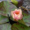 Botanischer Garten